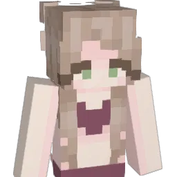 aylam123 Minecraft avatar bust