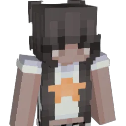 ayyhri Minecraft avatar bust