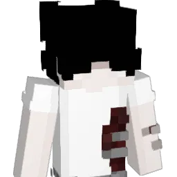 b0diez Minecraft avatar bust