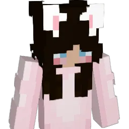 b1kachu's Minecraft skin