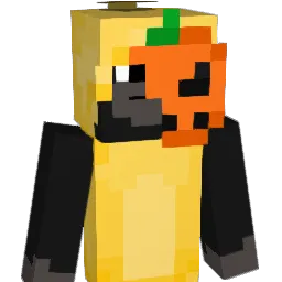 burglarr_'s skin