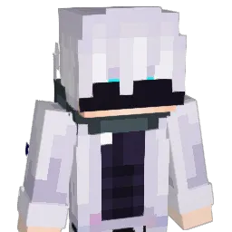 Shard_11's skin