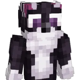 Tviiix's skin