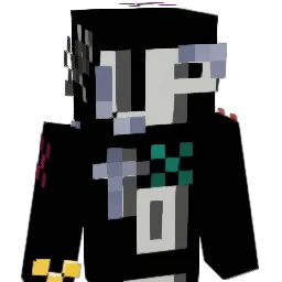 intermanual's skin
