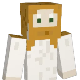 b4_Pakon Minecraft avatar bust
