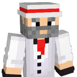 Shoyorty's skin