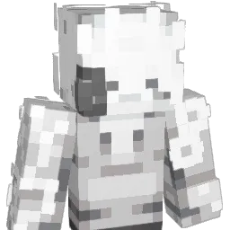 qeru_'s skin