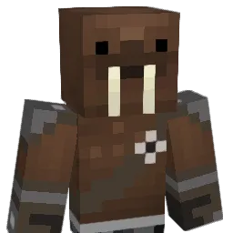 b96cw Minecraft avatar bust