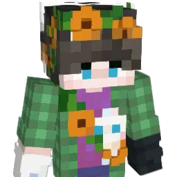 bLiNok_ Minecraft avatar bust