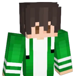 bNoam Minecraft avatar bust