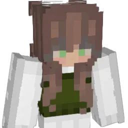 b_0m Minecraft avatar bust
