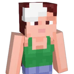 ba4sed Minecraft avatar bust