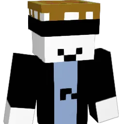 baconking76 Minecraft avatar bust