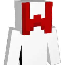 baconrider1101 Minecraft avatar bust