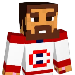 baconwallet95 Minecraft avatar bust