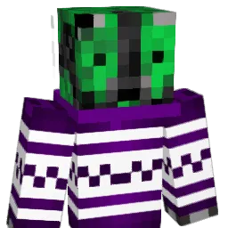 badgerthegrouch Minecraft avatar bust
