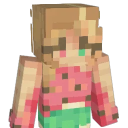 baeboy Minecraft avatar bust