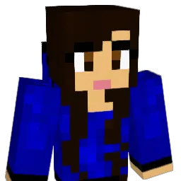 bagr565 Minecraft avatar bust