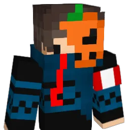 baimi_CN Minecraft avatar bust