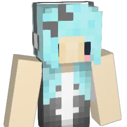 bajablast21's Minecraft skin