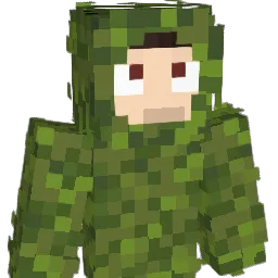 baltyk_ Minecraft avatar bust