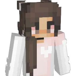 baoguettes Minecraft avatar bust