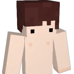 barc343 Minecraft avatar bust