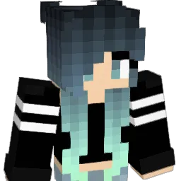 bardie4 Minecraft avatar bust
