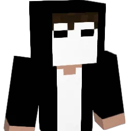 bari0101 Minecraft avatar bust