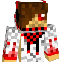 barncat45's Minecraft skin