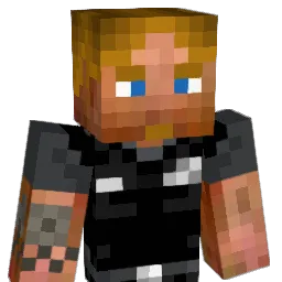 bartix16 Minecraft avatar bust