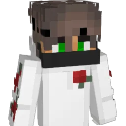 bartoszek24's Minecraft skin
