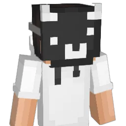 bartyj33 Minecraft avatar bust
