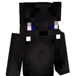 barunnaaa Minecraft avatar bust
