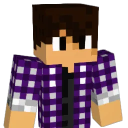 baseball_ninja7 Minecraft avatar bust