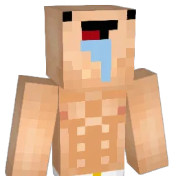 bassi95 Minecraft avatar bust