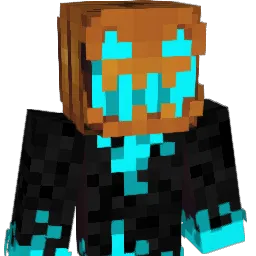 basverwoert2011 Minecraft avatar bust