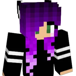 baybrk00 Minecraft avatar bust