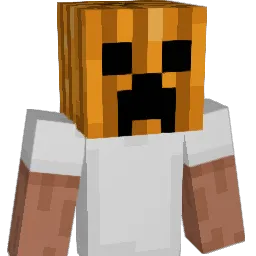 Minecraft-Avatar von bbnr: Büste