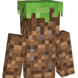 bbqchipslays331 Minecraft avatar bust