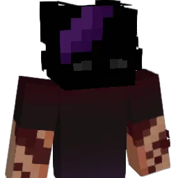 Niki_408's skin