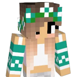 bdancer150 Minecraft avatar bust