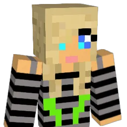bdudeblast Minecraft avatar bust