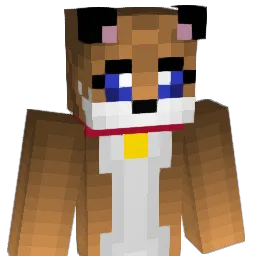 bearr_