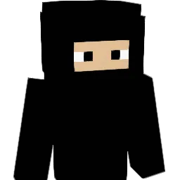 beatboxchamp66 Minecraft avatar bust