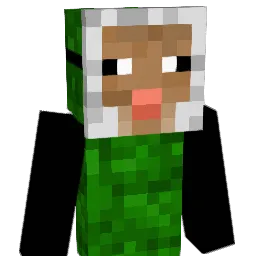 beb999's Minecraft skin