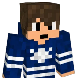 bednarz17 Minecraft avatar bust