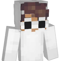 begabter Minecraft avatar bust