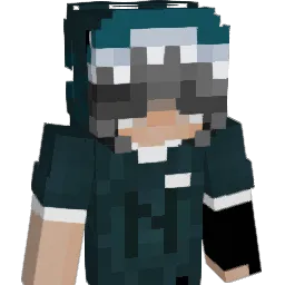benachteiligt Minecraft avatar bust