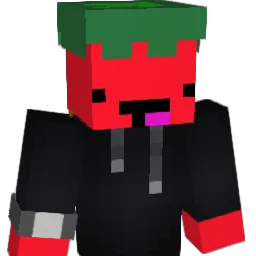 beomjin0406 Minecraft avatar bust